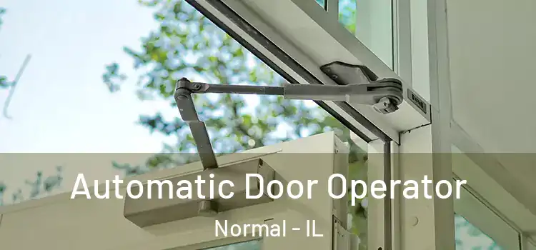  Automatic Door Operator Normal - IL