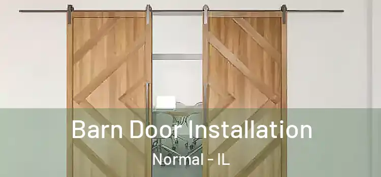 Barn Door Installation Normal - IL