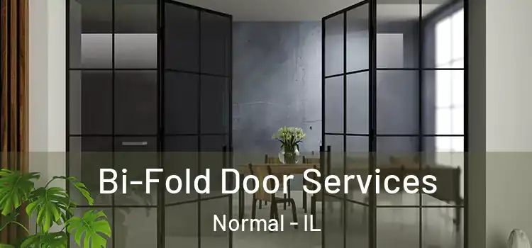  Bi-Fold Door Services Normal - IL
