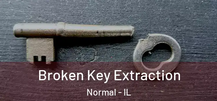  Broken Key Extraction Normal - IL