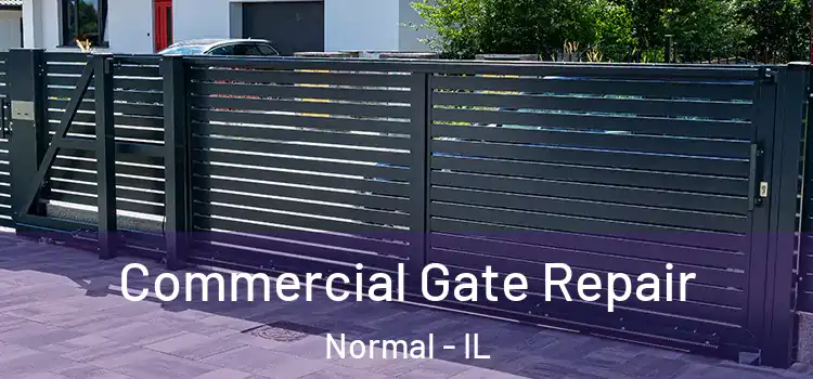 Commercial Gate Repair Normal - IL