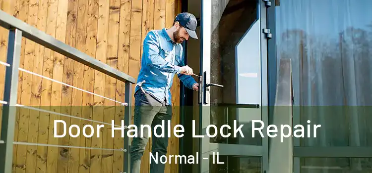 Door Handle Lock Repair Normal - IL