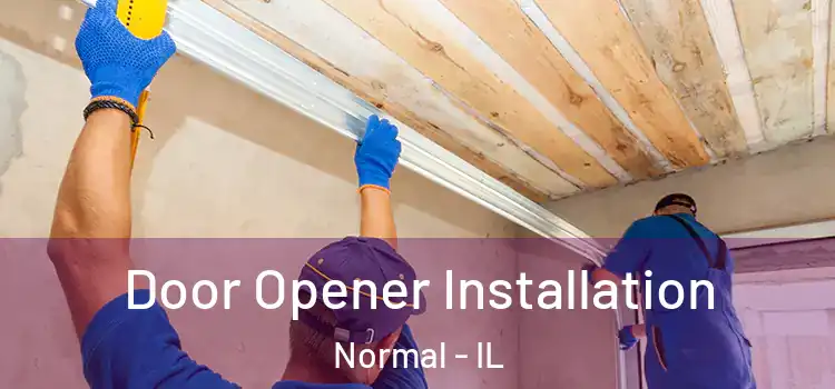  Door Opener Installation Normal - IL