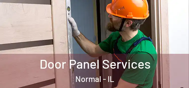  Door Panel Services Normal - IL