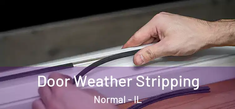 Door Weather Stripping Normal - IL