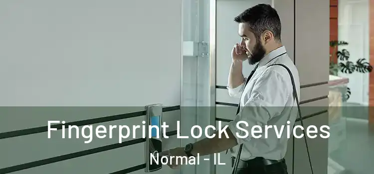 Fingerprint Lock Services Normal - IL