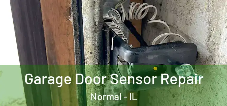 Garage Door Sensor Repair Normal - IL