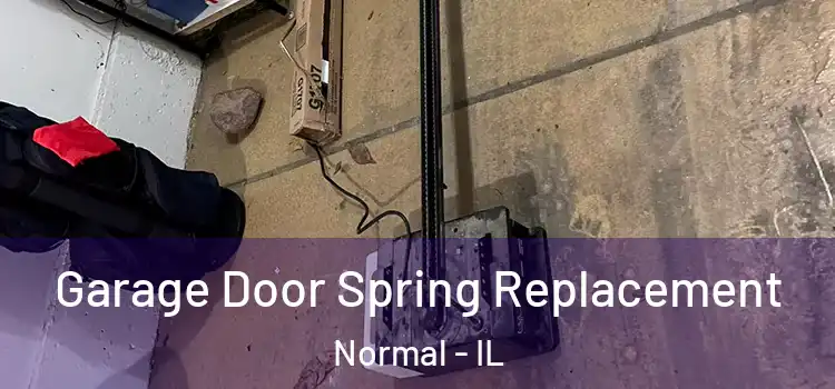  Garage Door Spring Replacement Normal - IL