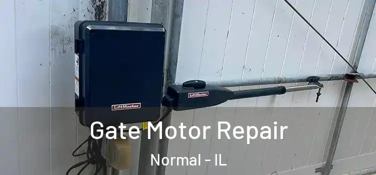 Gate Motor Repair Normal - IL