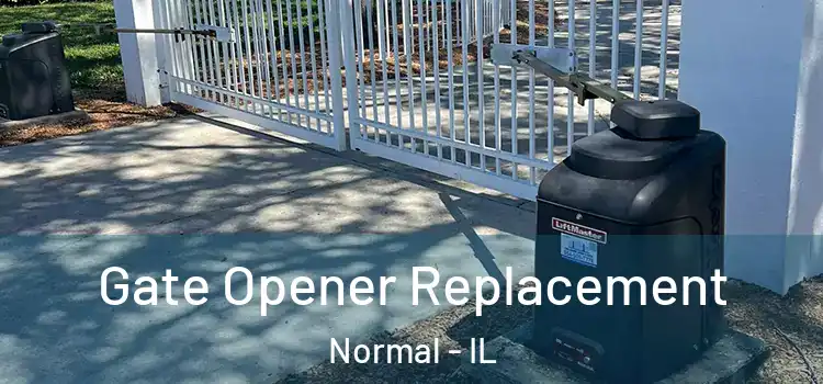 Gate Opener Replacement Normal - IL