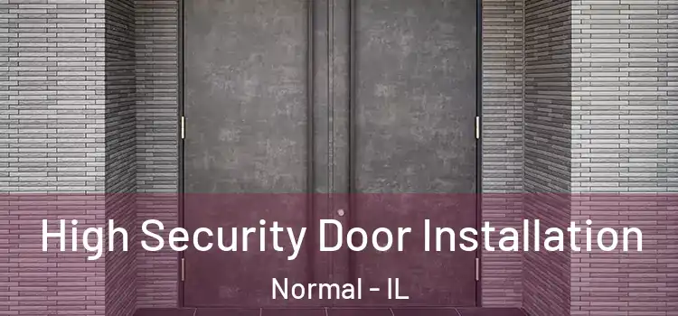 High Security Door Installation Normal - IL