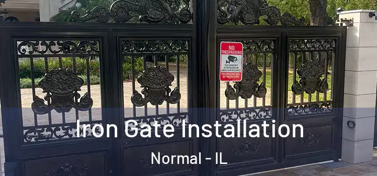 Iron Gate Installation Normal - IL