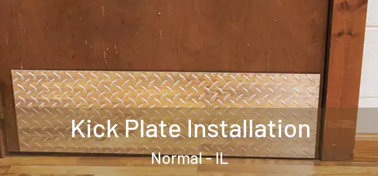 Kick Plate Installation Normal - IL