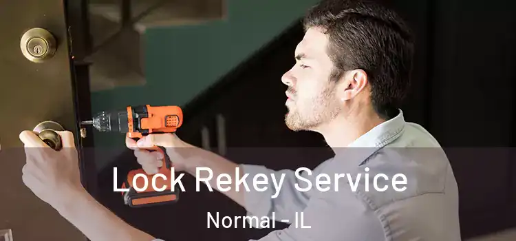  Lock Rekey Service Normal - IL