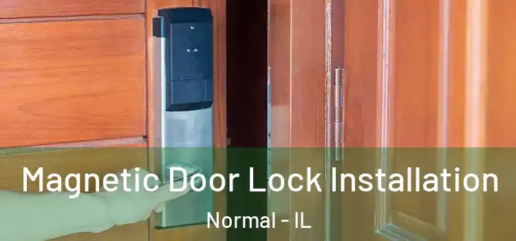  Magnetic Door Lock Installation Normal - IL