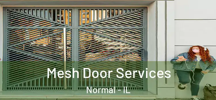 Mesh Door Services Normal - IL