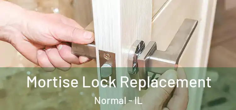 Mortise Lock Replacement Normal - IL