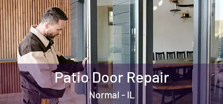 Patio Door Repair Normal - IL