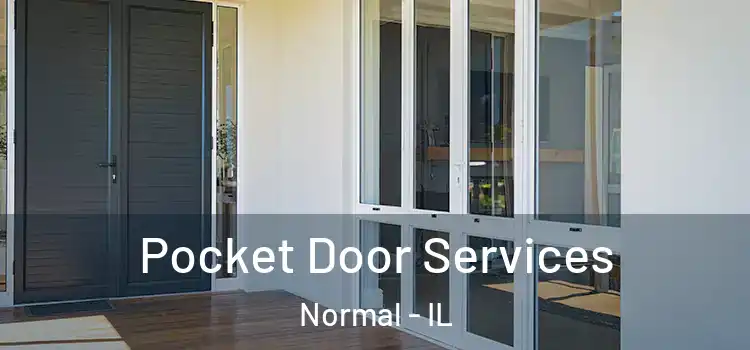 Pocket Door Services Normal - IL