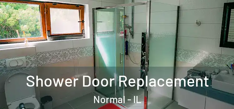Shower Door Replacement Normal - IL