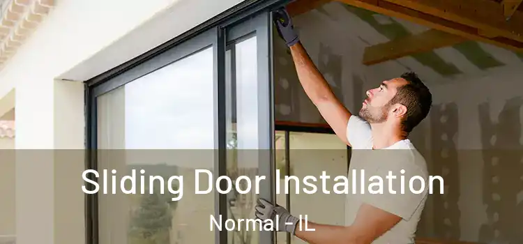 Sliding Door Installation Normal - IL
