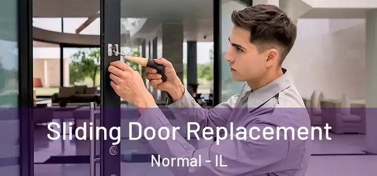 Sliding Door Replacement Normal - IL