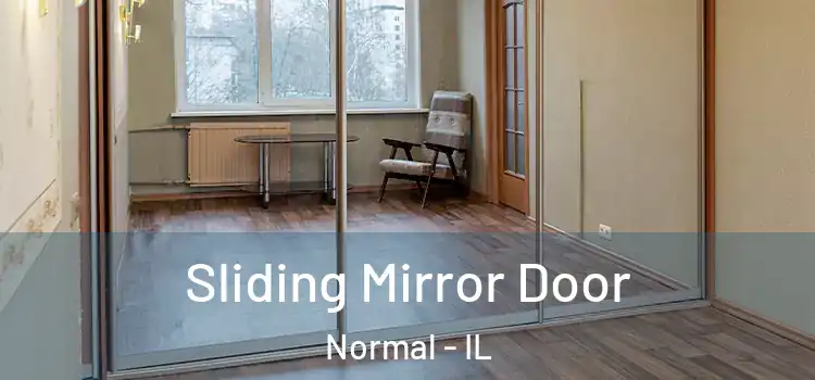 Sliding Mirror Door Normal - IL
