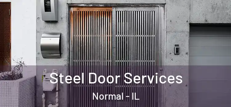 Steel Door Services Normal - IL